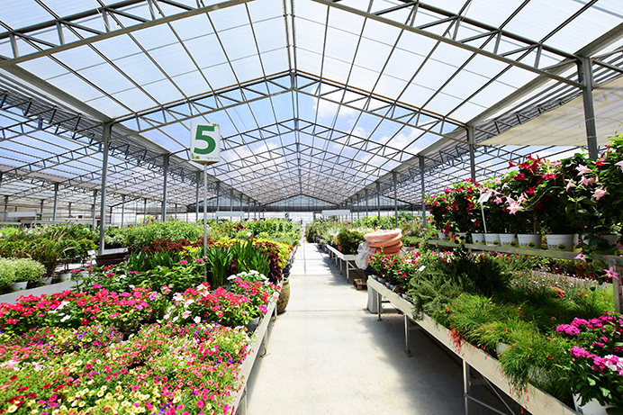 Accelerated Industry Restructuring, Polycarbonate Sheet Market Moves Towards Branding and Standardization