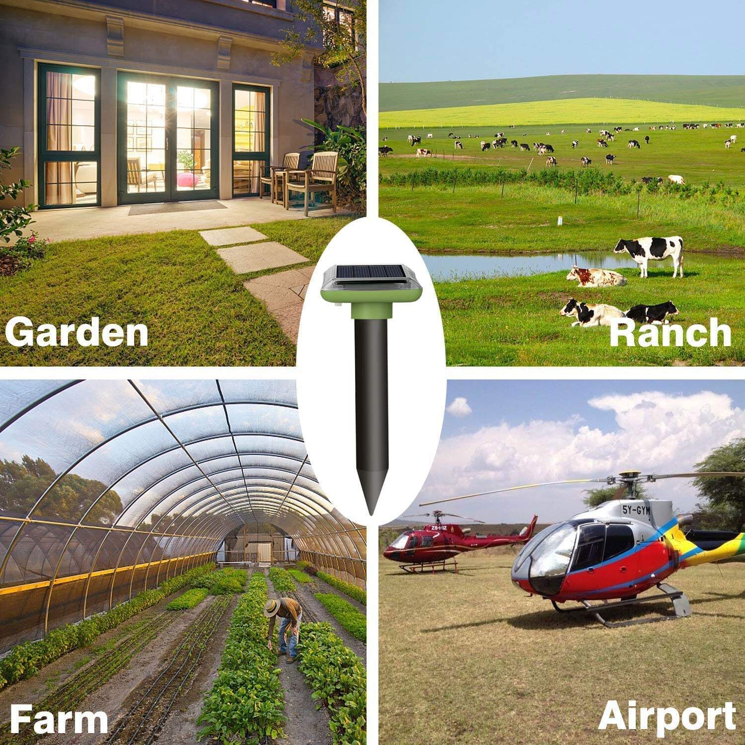 Cost-Effective Long-Term Pest Management Solution