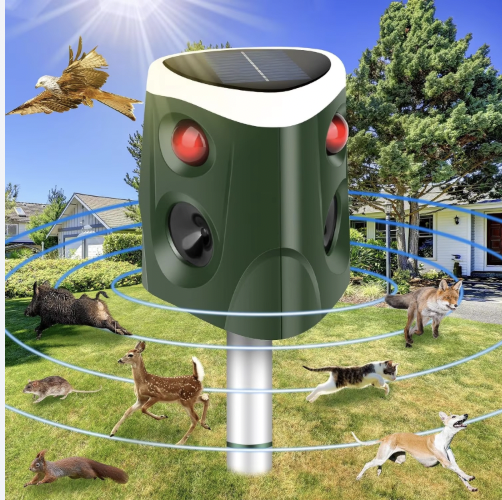 Bug Zappers: The Best Models for Organic Gardening