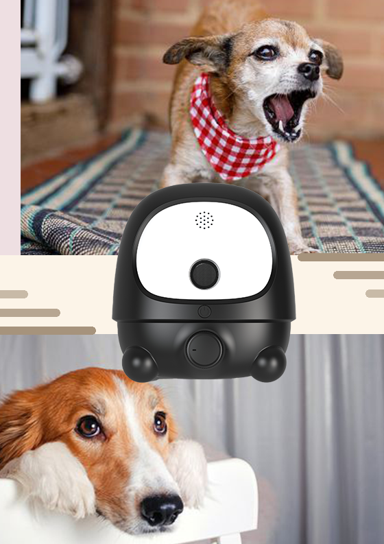 Safe for Pets and Children