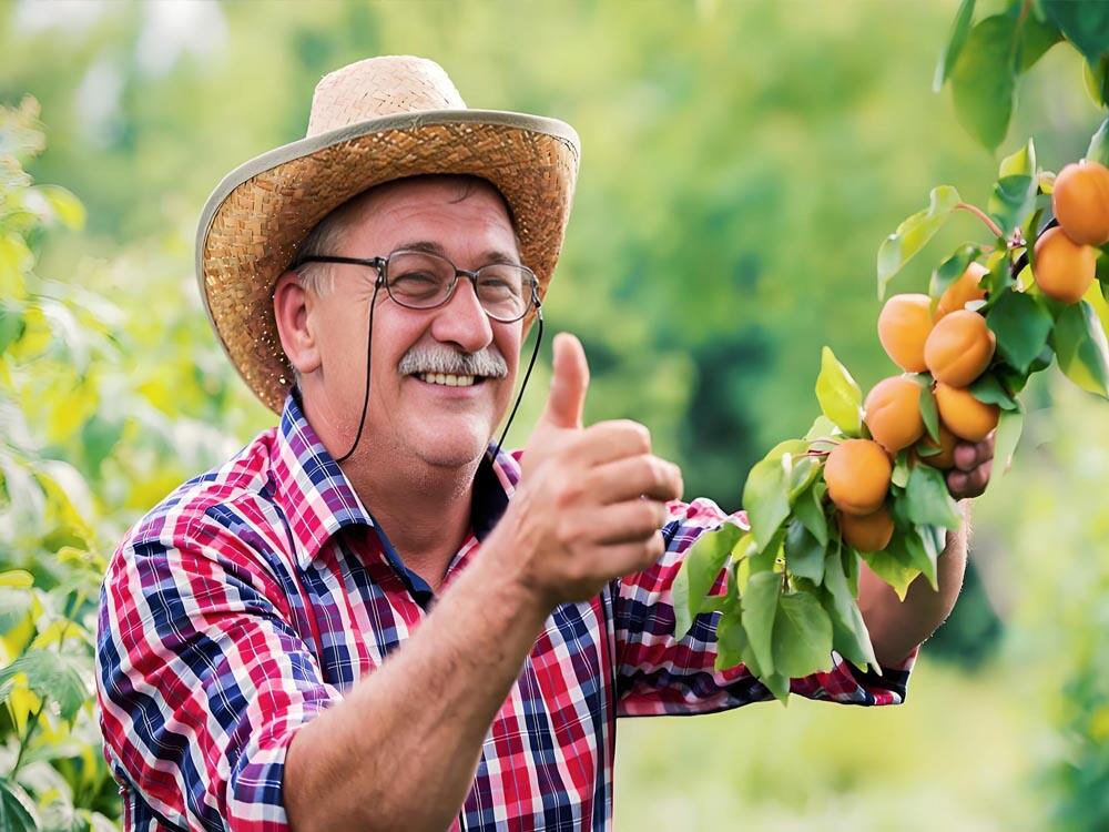 The Application of Animal Repellent Devices in Orchards