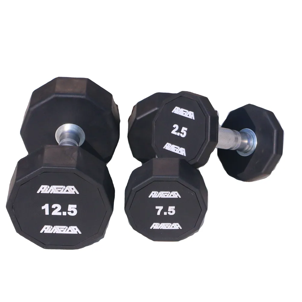 Descubra os Melhores Halteres Profissionais para Sua Jornada de Fitness