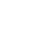 Professional technicist