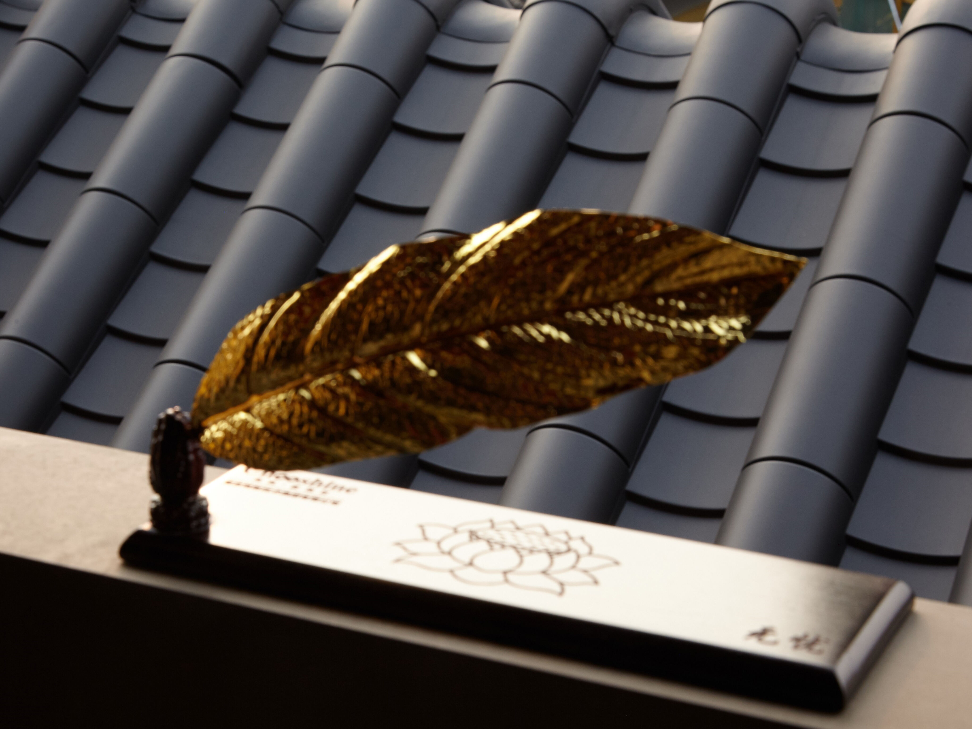 Feuilles sans souci