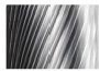Shank Diameter 3 Series Rotary File (Tungsten Steel Grinding Tool) supplier
