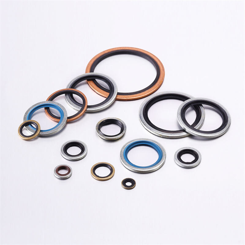 FKM Stainless Steel Bonded Seal