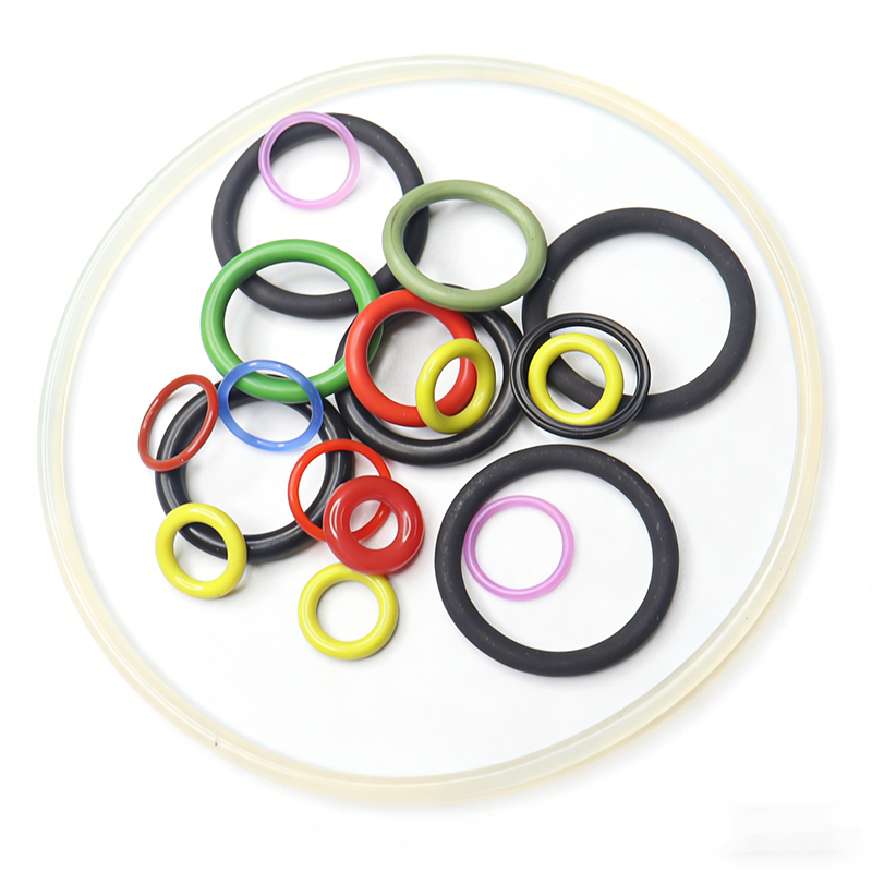 Qualità e durata senza pari degli O-ring per tubi flessibili di scarico per camper
