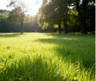 image(3947c4a3de).png