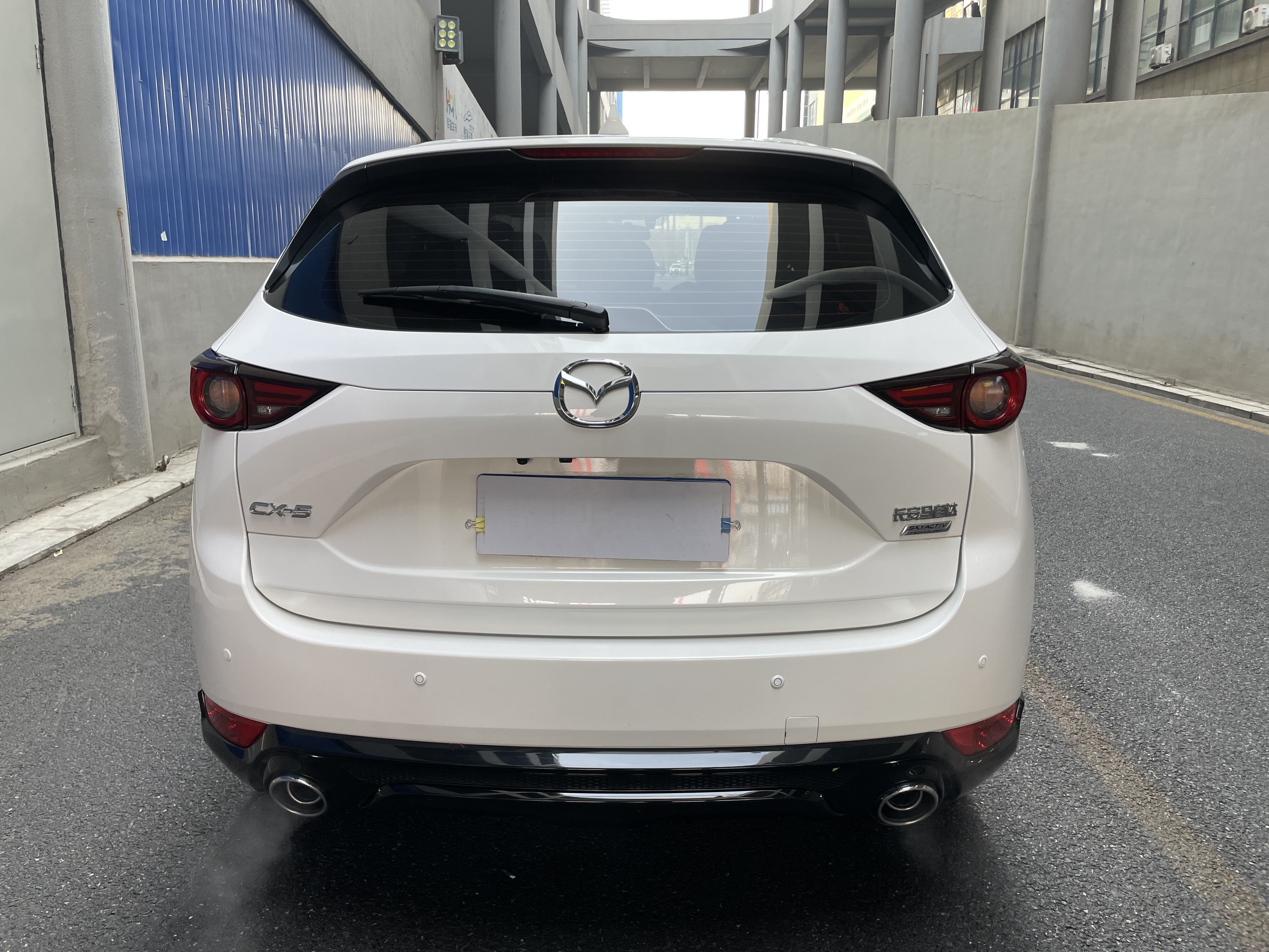 Diverse Vehicle Selection