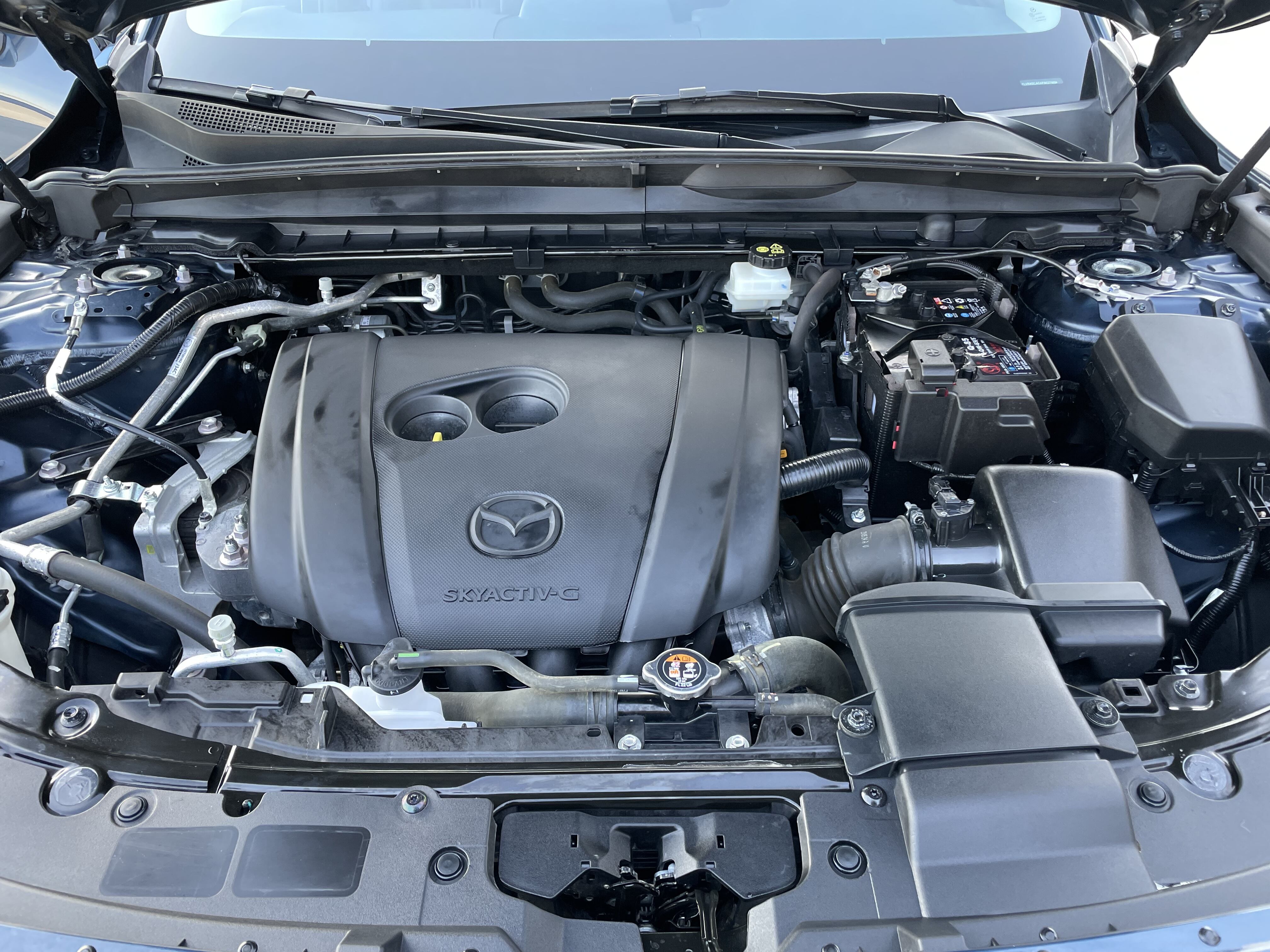 picture_17.jpeg