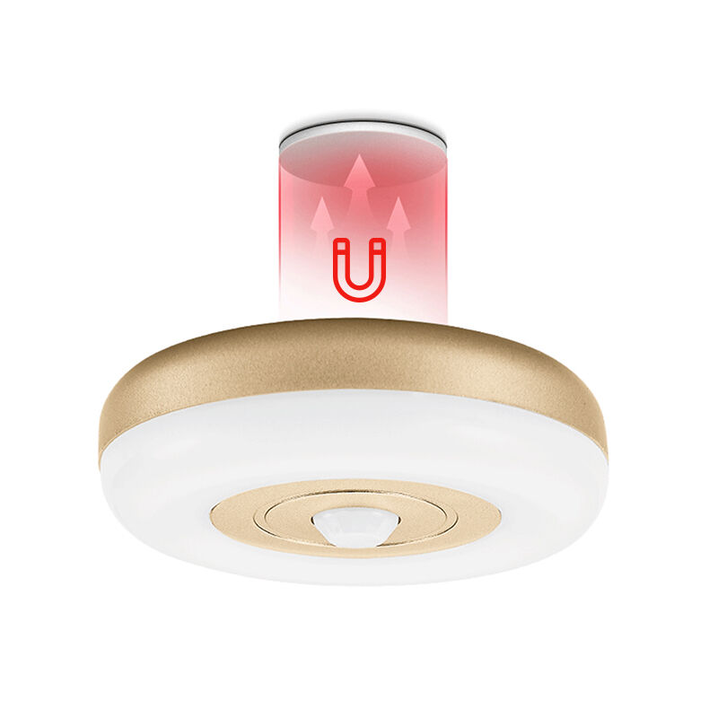 Conception innovante pour des espaces modernes