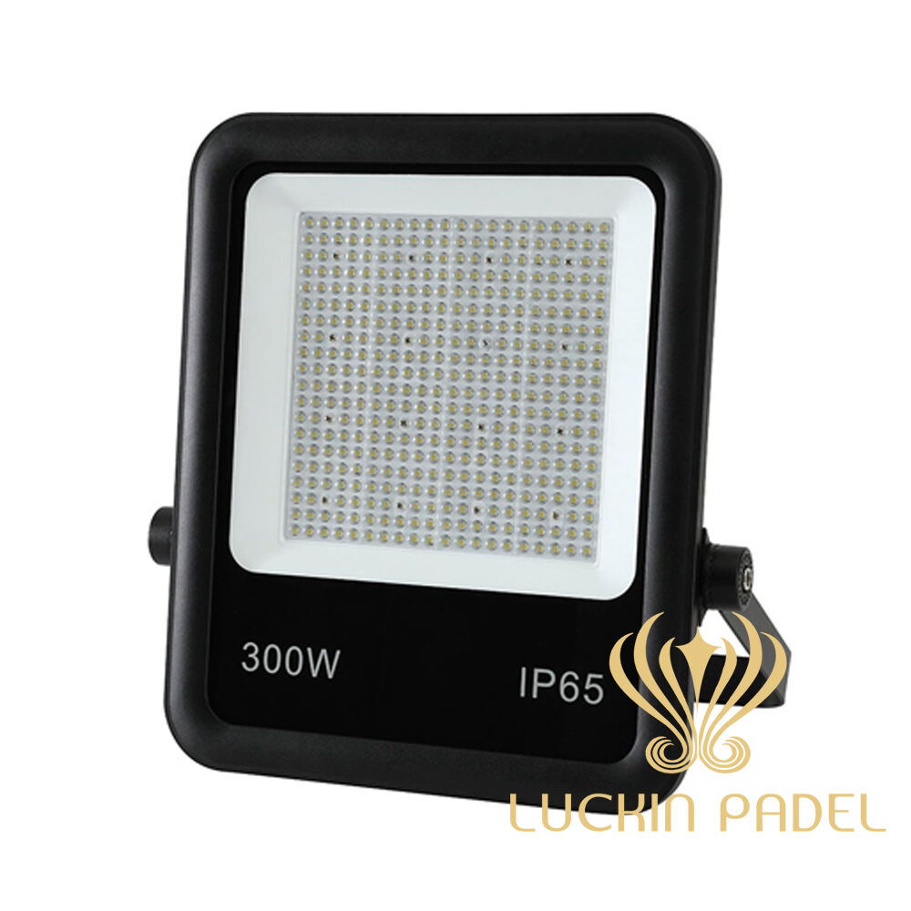 300W