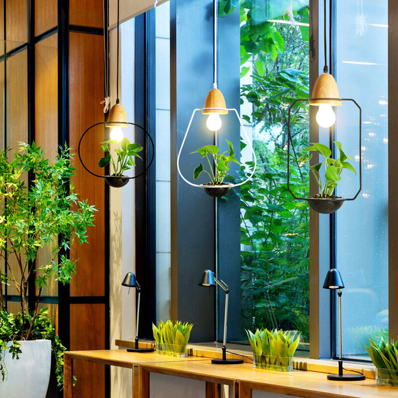 Modern Greenery Cultivation Creative Coffee Shop Metal Decorative Chandelier