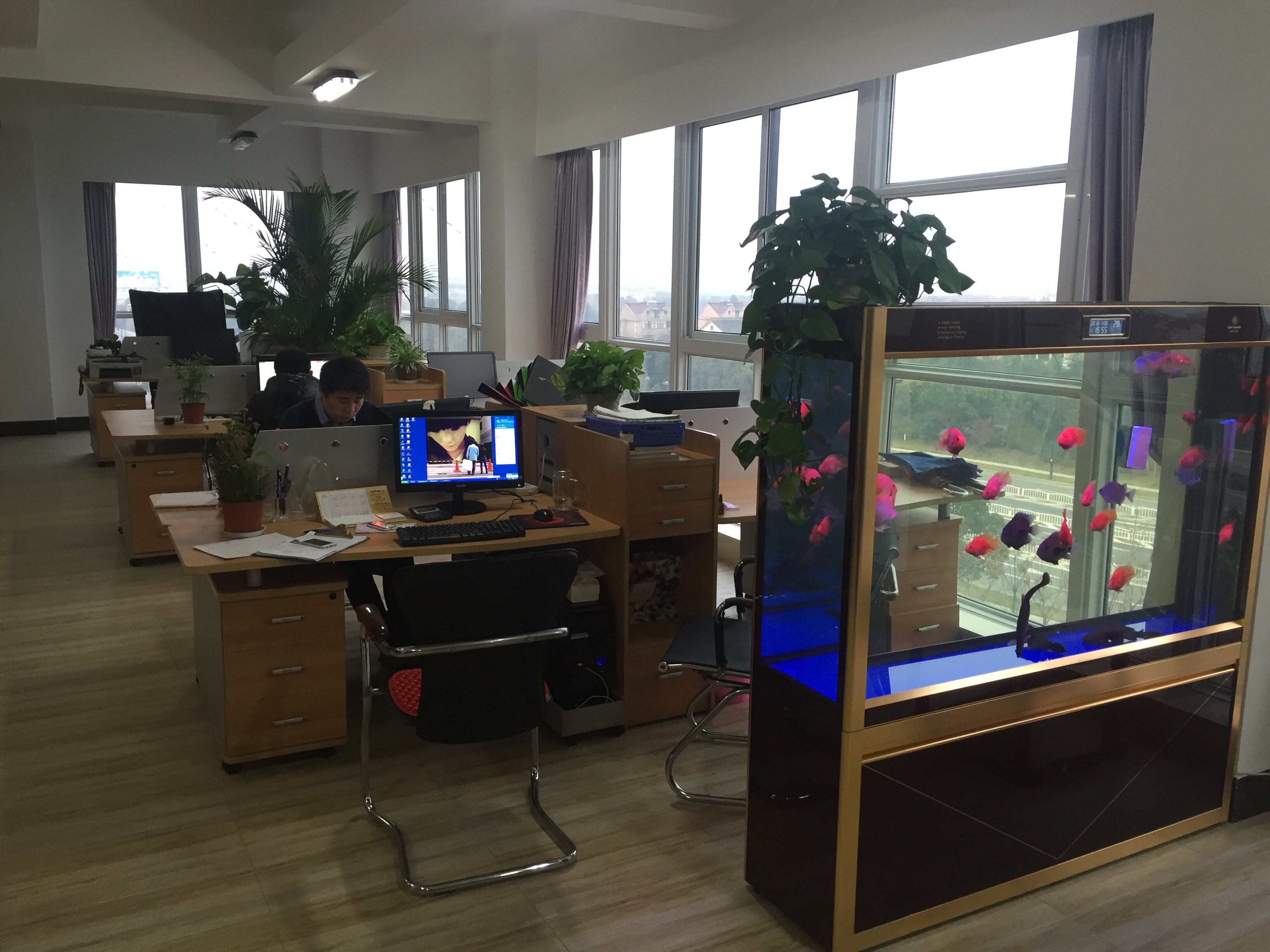 Haining Tonghua Lighting Co., Ltd