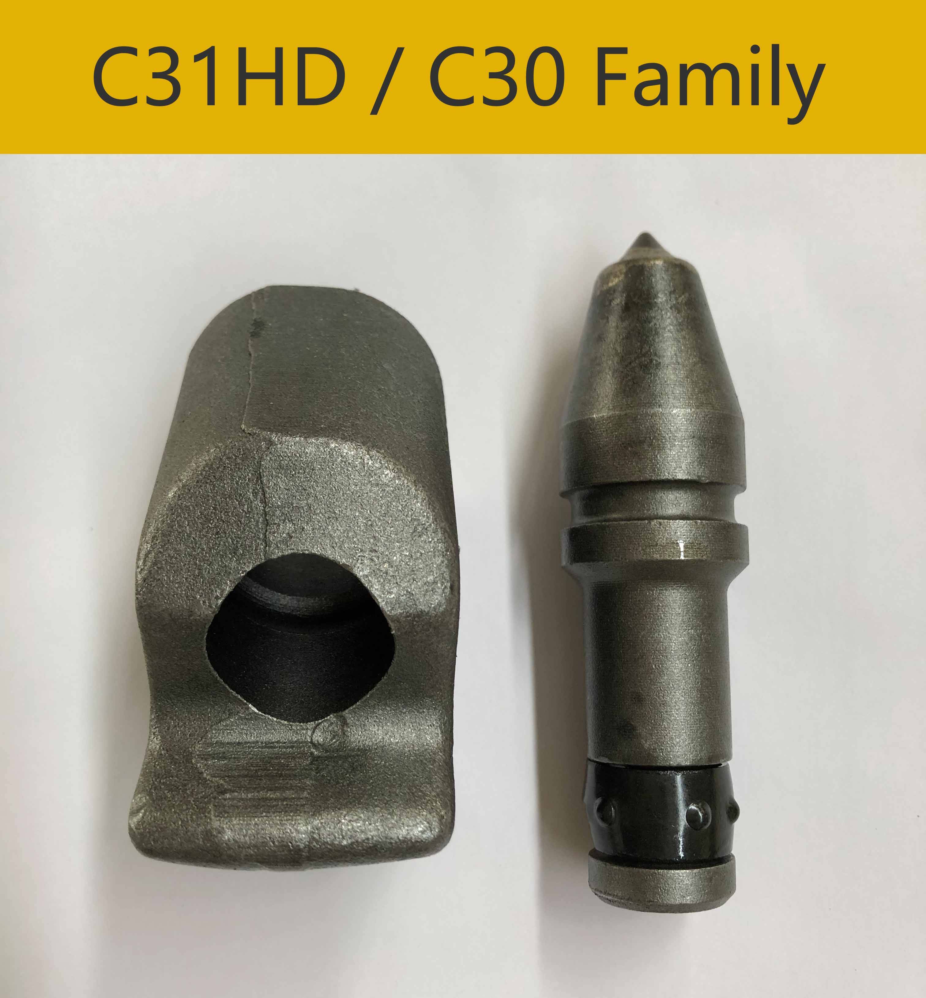 C31HD C30 family.jpg