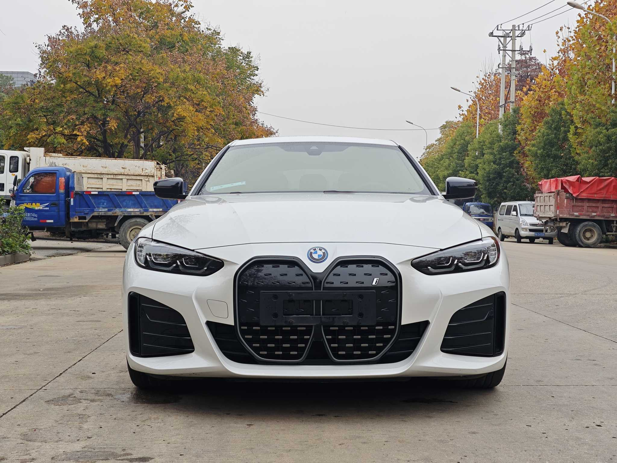 The Impact of Electric Vehicles on the Environment