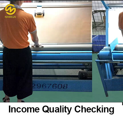 Income-Quality-Checking