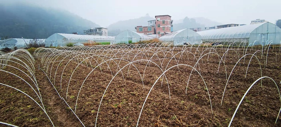 Demonstration of flexibility and tensile strength in 8mm fiberglass tree stakes for high wind areas.png