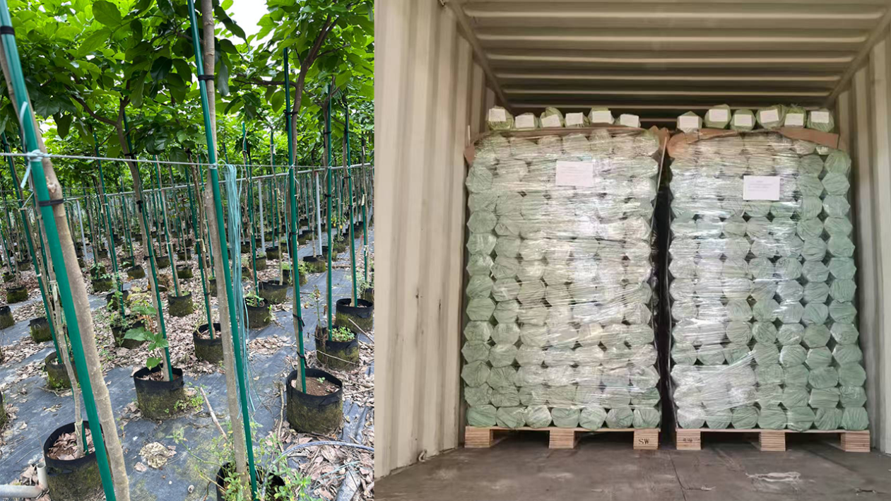 How to Choose the Perfect Diameter A Fiberglass Rod Sizing Chart for Engineers (1).png