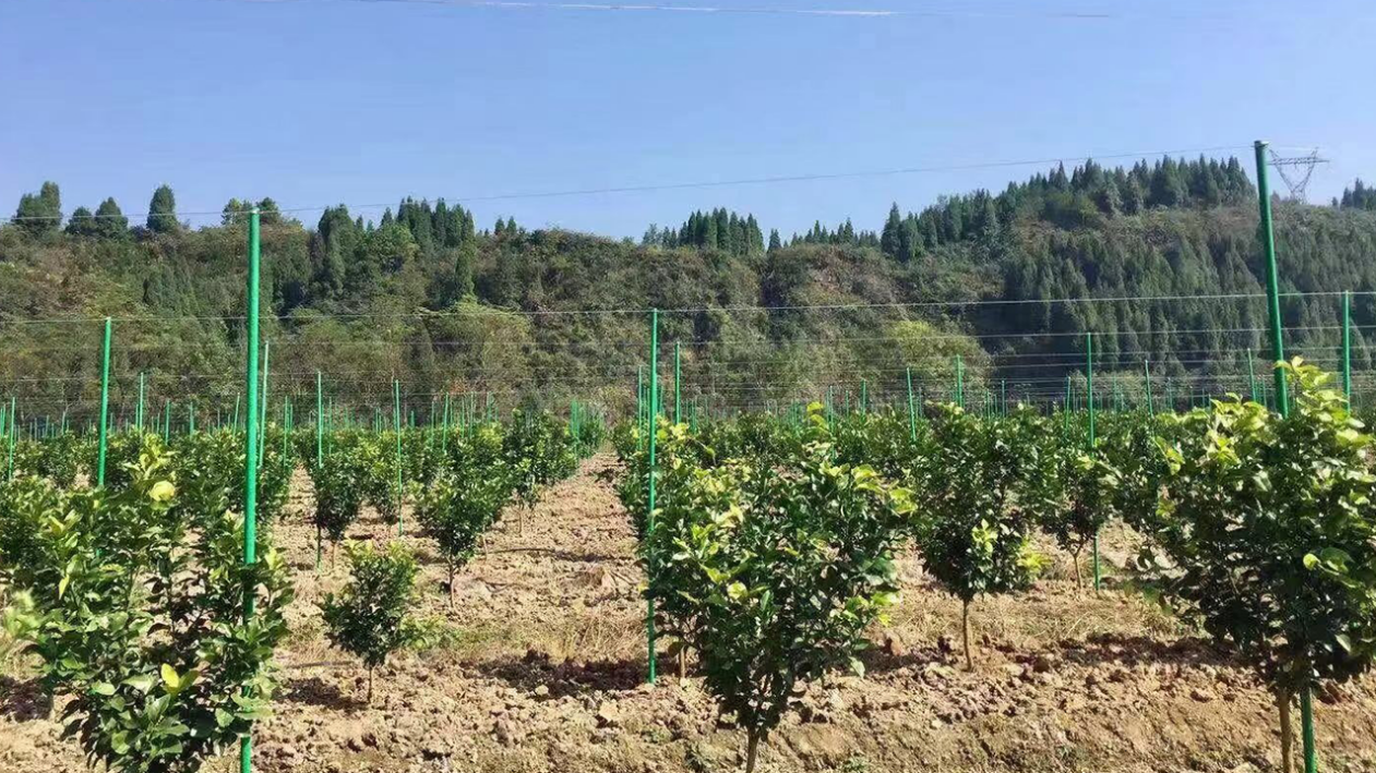 High-Performance Fiberglass Rods Versatility in Modern Engineering and Construction (3).png