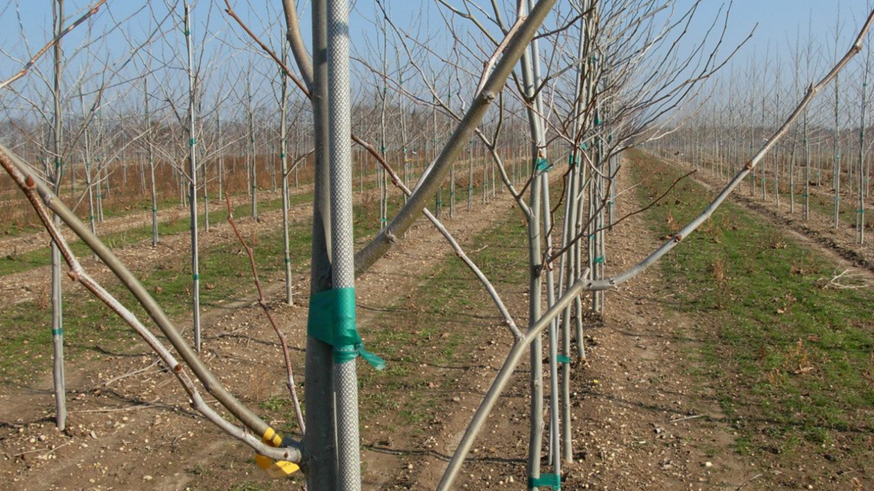 High-Performance Fiberglass Rods Versatility in Modern Engineering and Construction.png