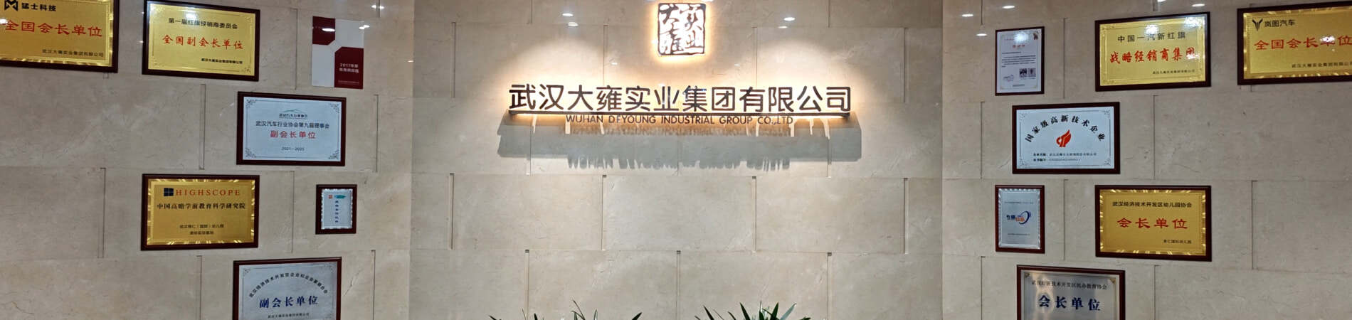 Wuhan DeYoung Industrial Group Co., Ltd.