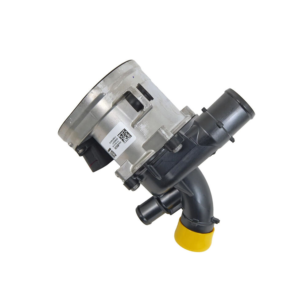 Automobilzubehör Wasserpumpe LSY LXH OEM 12724522 55515497 55508939 55506790 55510113 55487344 55505898 Elektrische Wasserpumpe