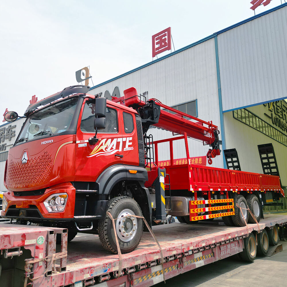 12 Ton HOWO Mate Truck gemonteerd kraan