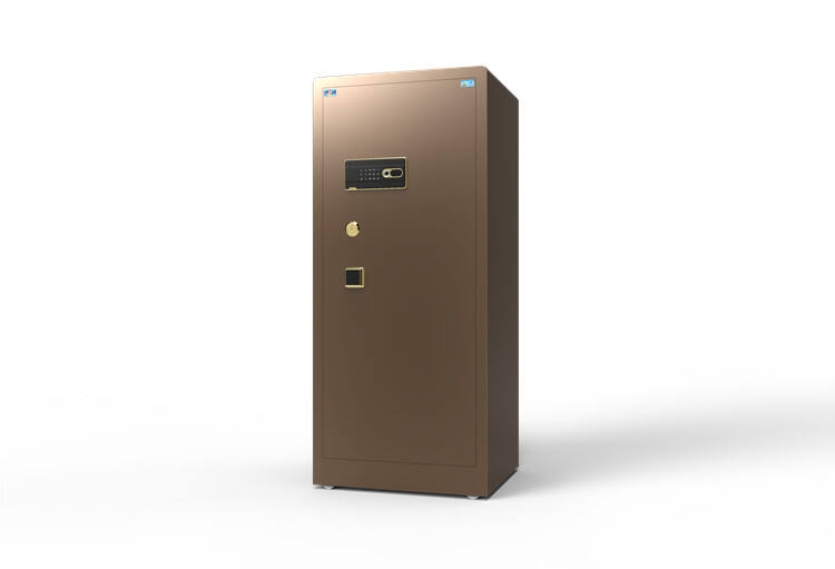 Top 10 Benefits of Using an Electronic Safe at Home
