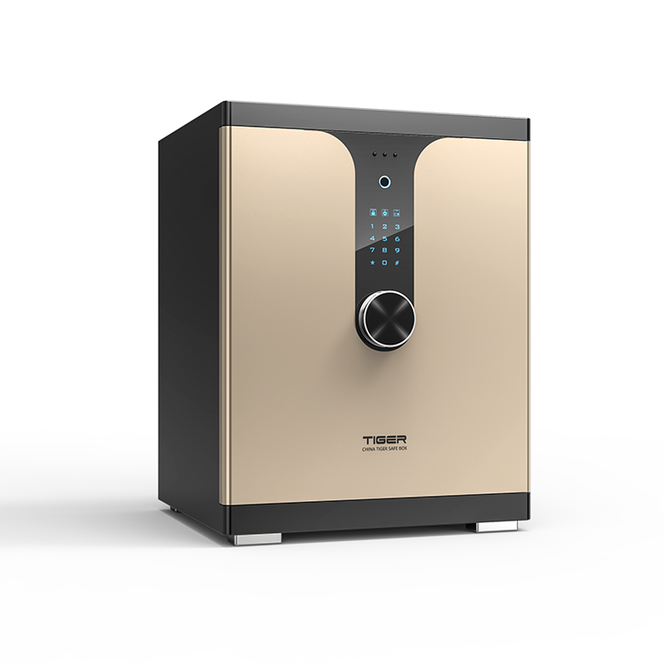 Common Misconceptions About Electronic Safes