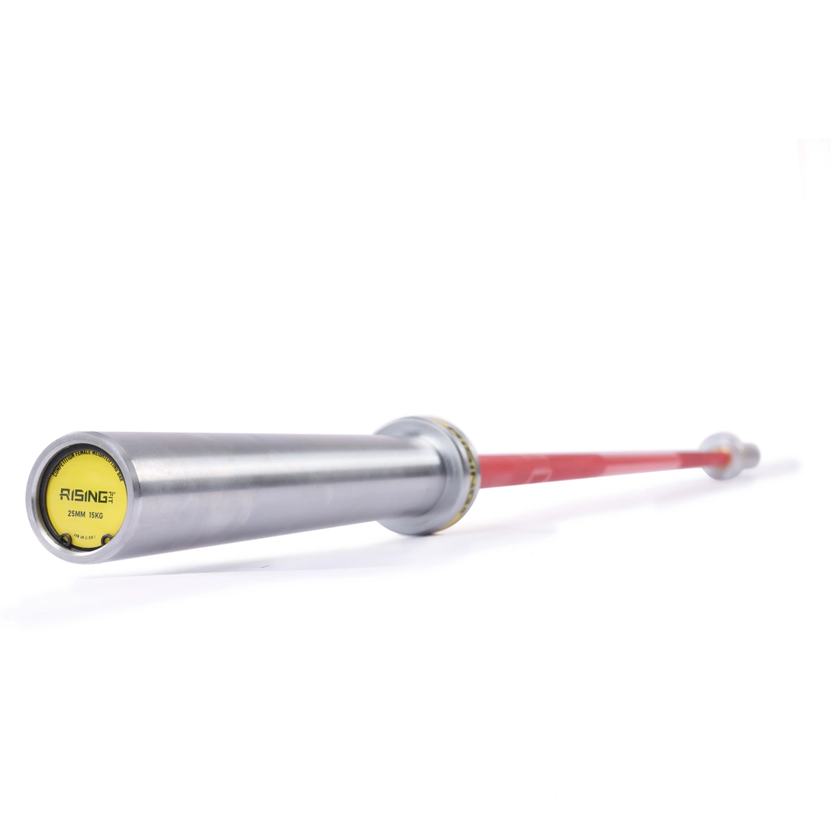 Barbel Lurus vs Barbel EZ: Perbedaan Utama & Pilihan yang Tepat