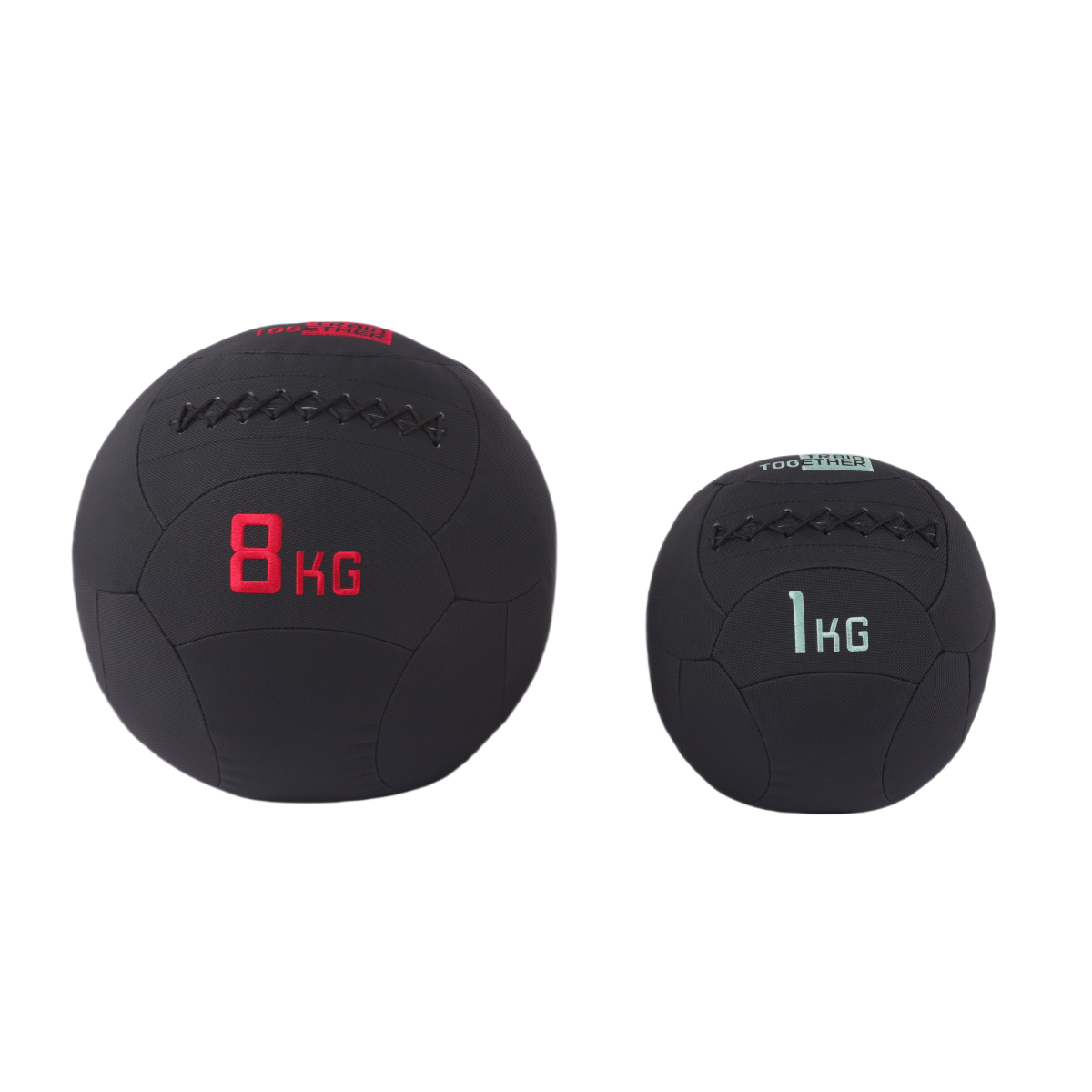 Pelota de Medicina