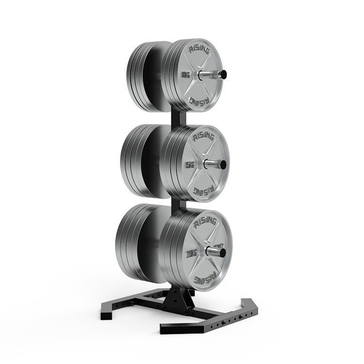 Soporte para placas de peso