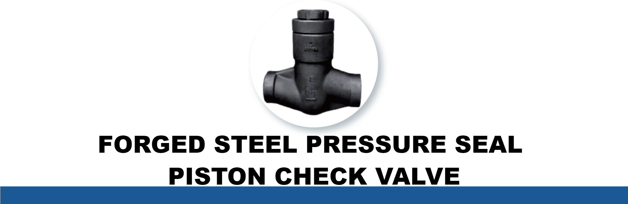 FORGED STEEL PRESSURE SEAL PISTON CHECK VALVE