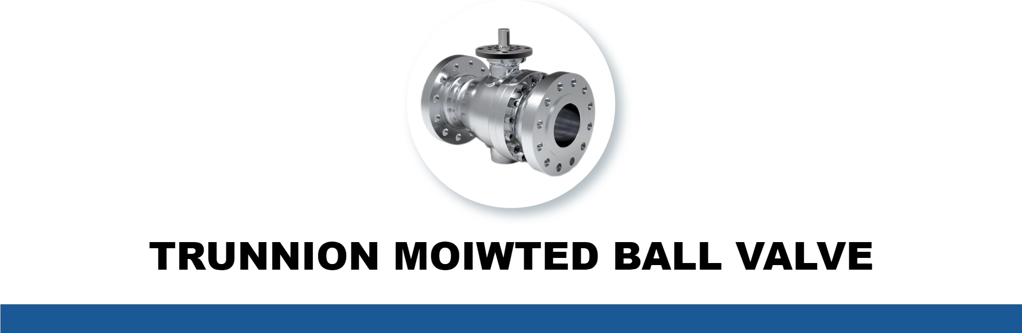 TRUNNION MOIWTED BALL VALVE