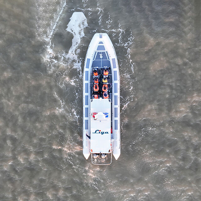 Superior Safety and Stability Features