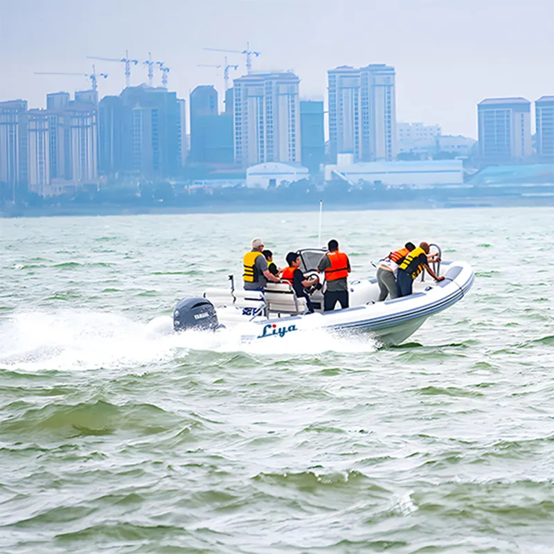 Understanding the Role of Navy RHIBs in Maritime Security