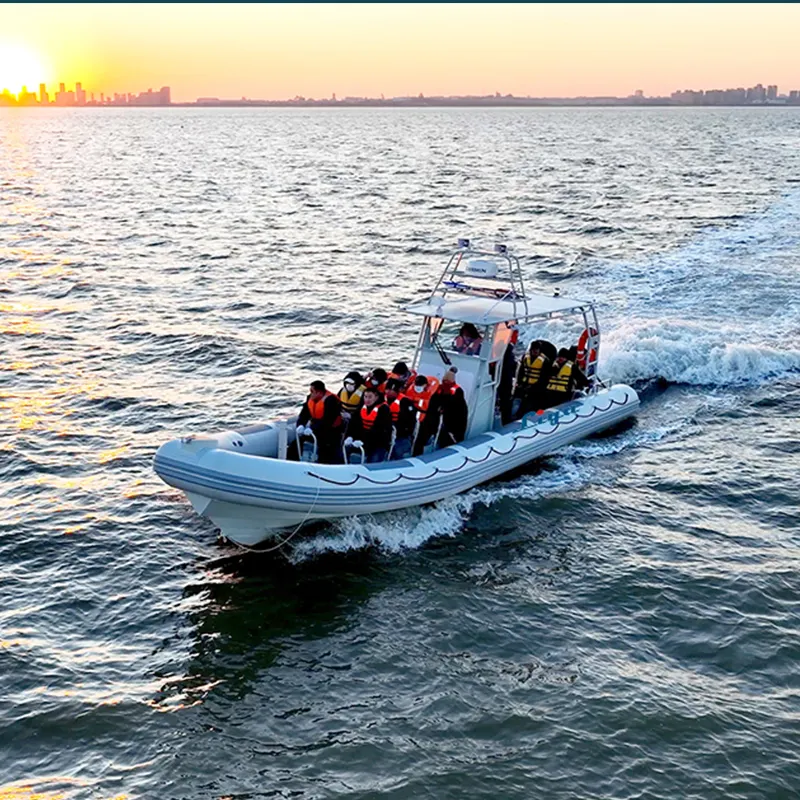 33ft navy&military rib boat with T-Top.webp