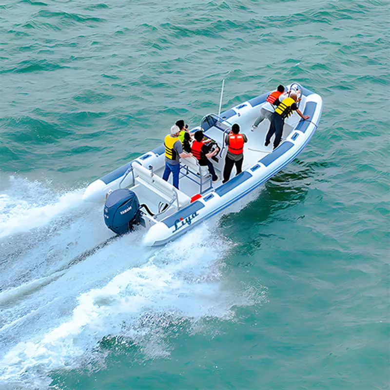 23ft Custom rib boats manufacturer.webp