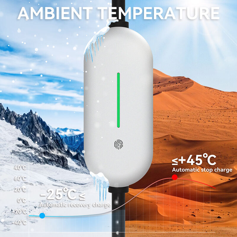 C2 PRO lamp board-5.jpg