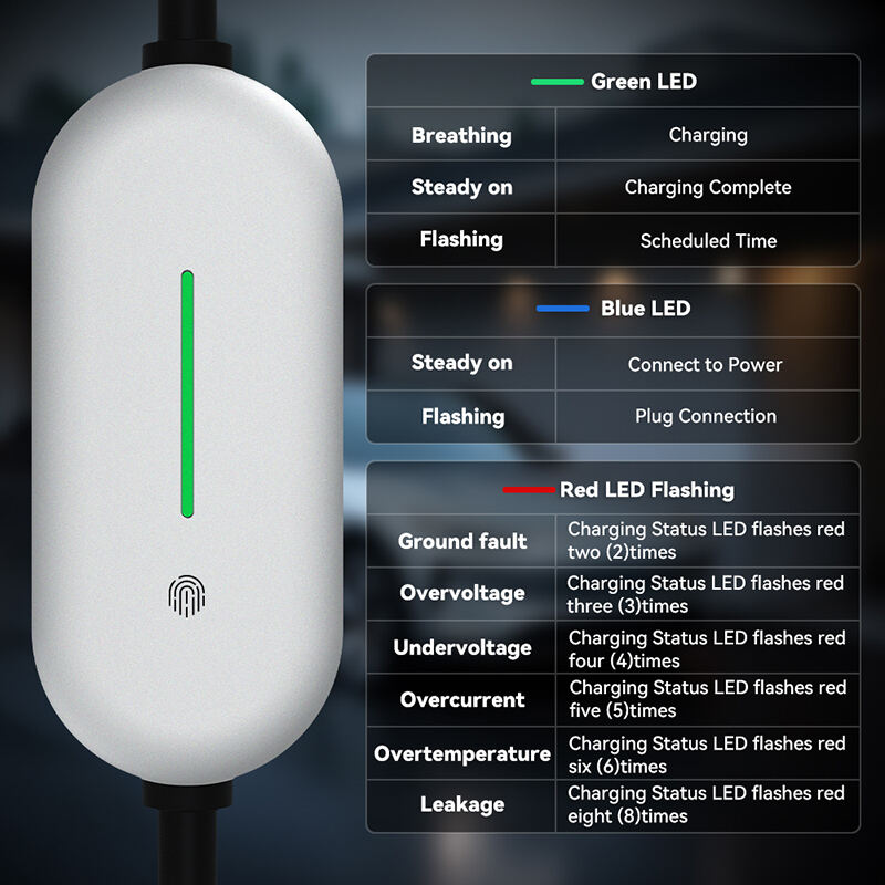 C2 PRO lamp board-3.jpg