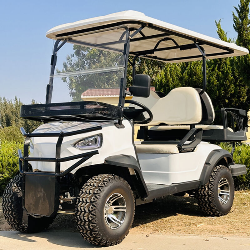 ALF-B2+2 Electric Car 2 seater metal steel plastic Hunting Golf cart Club car Off-road Golf cart off-road vehicle Electric golf