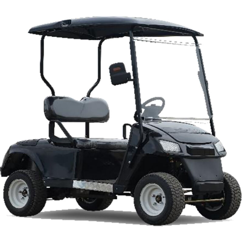 ALF GL2-1, 2-Seater 3500W/4000W/5000W 10-Inch 4-Wheel Electric Golf Cart with 60V/72V Battery for a Comfortable Ride