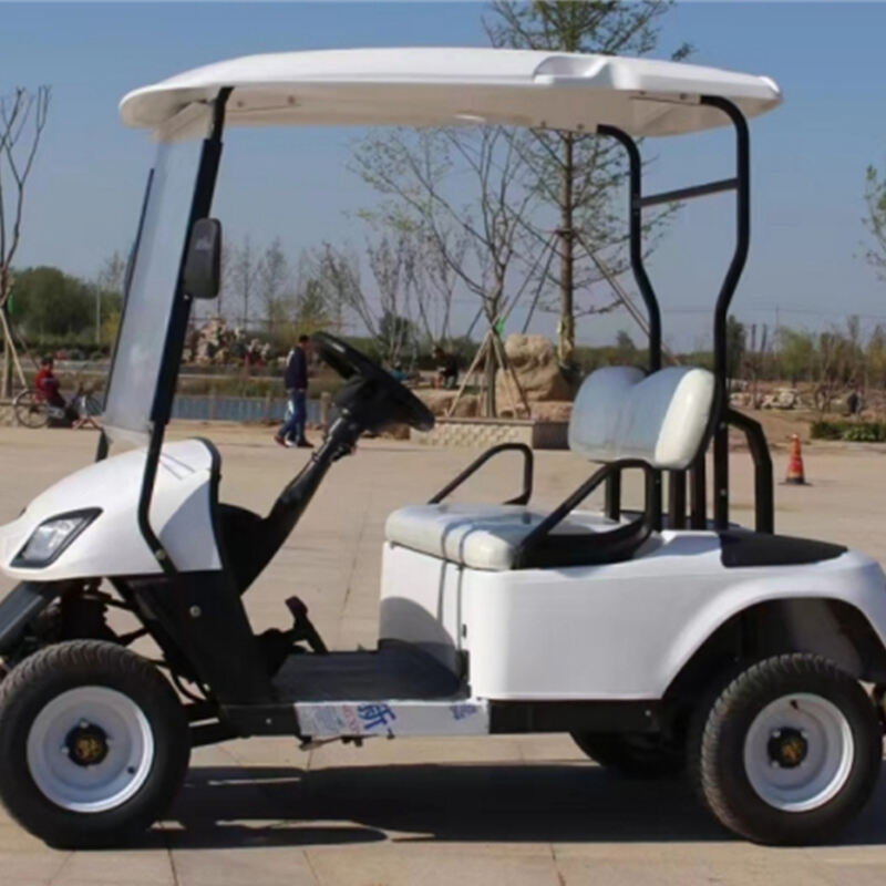 ALF-A4 Electric Car 2 seater metal steel plastic Hunting Golf cart Club car Off-road Golf cart off-road vehicle Electric golf