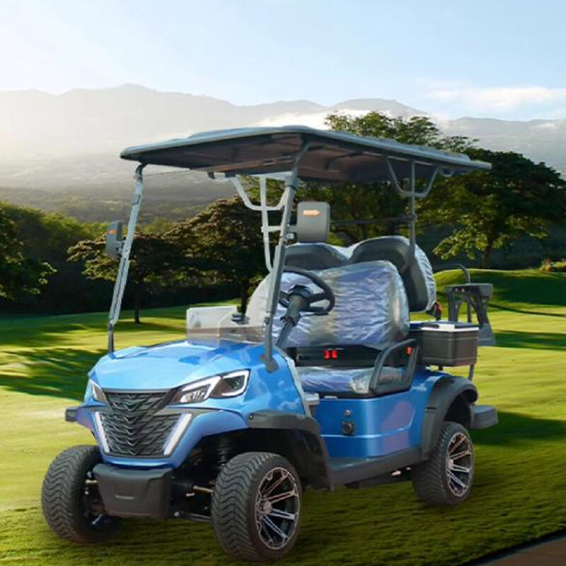 ALF-A2 Electric Car 2 seater metal steel plastic Hunting Golf cart Club Car Off-road Golf cart off-road vehicle Electric golf