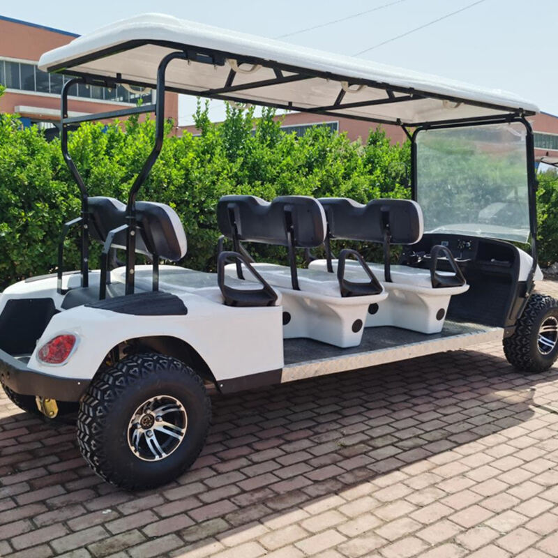 ALF-A4 Electric Car 2 seater metal steel plastic Hunting Golf cart Club car Off-road Golf cart off-road vehicle Electric golf