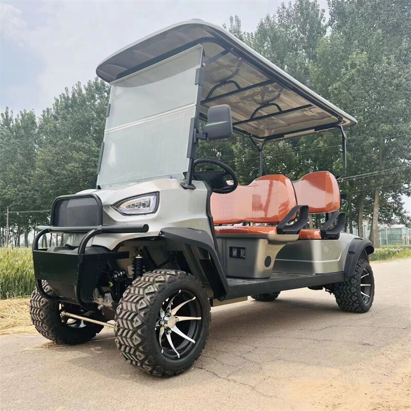 ALF-B4+2 Electric Car 2 seater metal steel Plastic Hunting Golf cart Club Car Off-road Golf cart off-road vehicle Electric golf