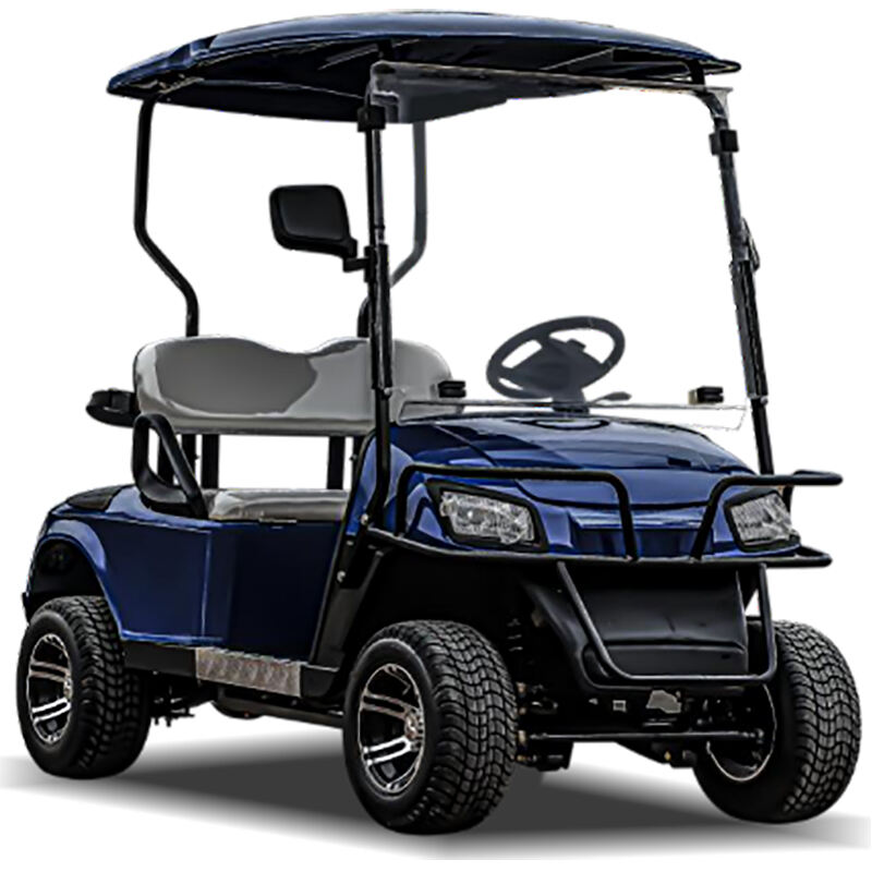 ALF GL2-1, 2-Seater 3500W/4000W/5000W 10-Inch 4-Wheel Electric Golf Cart with 60V/72V Battery for a Comfortable Ride