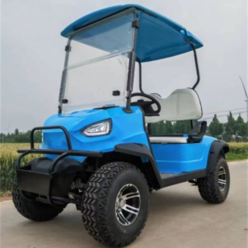 ALF-A21 Electric Car 2 seater metal steel plastic Hunting Golf cart Club Car Off-road Golf cart off-road vehicle Electric golf