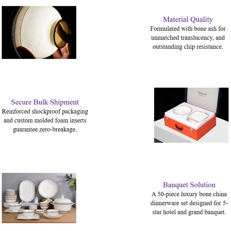 Fine Bone China Dinnerware Sets 50-Piece Luxury Hotel Dinnerware Set for Banquets & Fine Dining.png